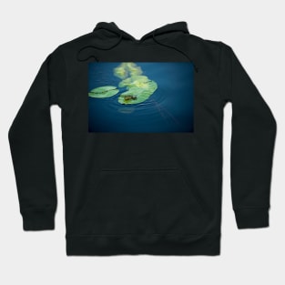 Frog in the Danube Delta area, Romania, in a sunny summer day Hoodie